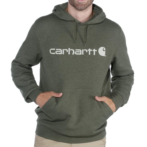 Carhartt Force Delmont Graphic Hoodie